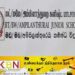 அம்பிளாந்துறை கனிஷ்ட பாடசாலையில் 41 மாணவர்கள் சித்தி!