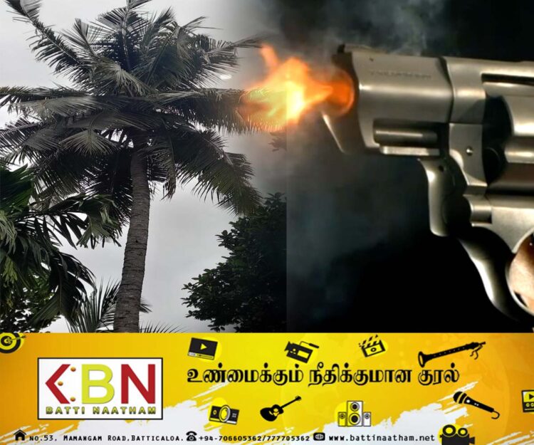 தேங்காய் திருடியவர் மீது துப்பாக்கி சூடு!