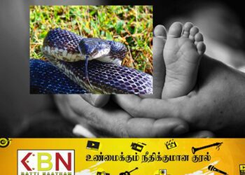 மட்டக்களப்பில் பாம்பு தீண்டி குழந்தை மரணம்!