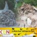 மட்டு தரவை மாவீரர் துயிலும் இல்ல நினைவு தூபி பொலிஸாரால் இடித்து தள்ளப்பட்டது!