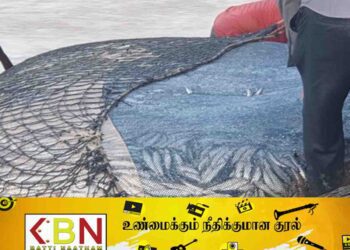அம்பாறையில் மீனவர்களுக்கு அடித்த அதிர்ஷ்டம்; பிடிபடும் பெருந்தொகை மீன்கள்!