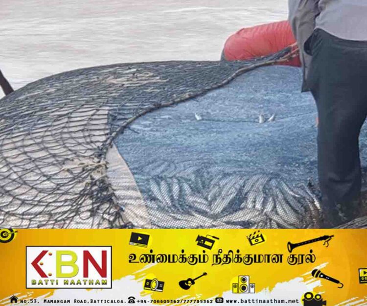 அம்பாறையில் மீனவர்களுக்கு அடித்த அதிர்ஷ்டம்; பிடிபடும் பெருந்தொகை மீன்கள்!