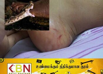 கரடியனாற்றில் பாம்பு தீண்டி குடும்பஸ்தர் மரணம்!
