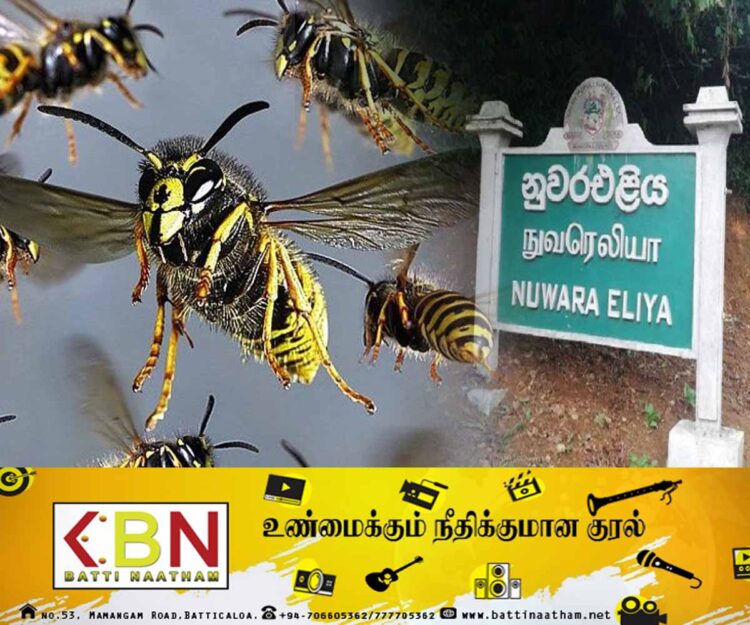 தாயை காப்பாற்ற சென்ற மகன்; கடைசியில் இருவருக்கும் நேர்ந்த சோகம்!
