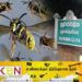 தாயை காப்பாற்ற சென்ற மகன்; கடைசியில் இருவருக்கும் நேர்ந்த சோகம்!