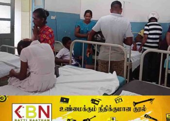 குளவி தாக்குதலில் 8 மாணவர்கள் பாதிப்பு; வவுணதீவில் சம்பவம்!