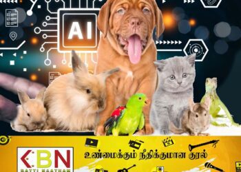 செல்லப்பிராணிகளுடன் தொடர்பை ஏற்படுத்த புதிய ஏ.ஐ!