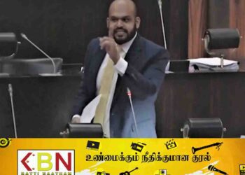 என்னை பெரிய வில்லனாக்க, இனவாதியாக்க முயற்சி செய்கின்றனர்; சபையில் சாணக்கியன் எம்.பி!