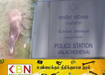 மயிலத்தமடுவில் துப்பாக்கி பிரயோகம் நடாத்தி வந்த அத்துமீறிய குடியேற்றவாசிகள் கைது; துப்பாக்கி ஒன்றும் கைப்பற்றப்பட்டது!