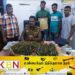 மட்டக்களப்பில் 1 கிலோ கஞ்சாவுடன் பெண்ணொருவர் கைது!