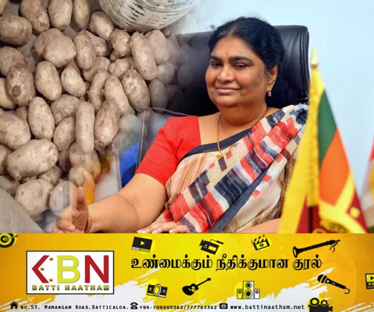 உருளைக் கிழங்கு தொடர்பில் விசாரணை!