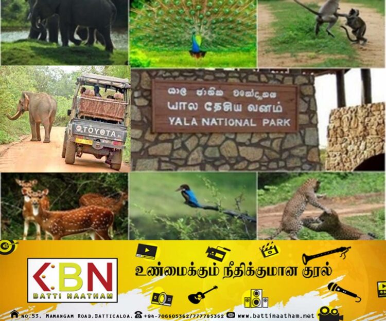 நந்திமித்ரா யானைக்கு உணவளிக்க வேண்டாம்; யால தேசிய பூங்கா நிர்வாகம் தெரிவிப்பு!