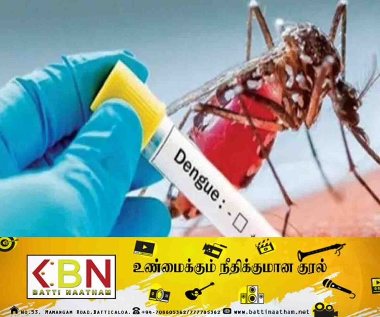 டெங்கு நோயாளர்களின் எண்ணிக்கை நாளுக்குநாள் அதிகரிப்பு!