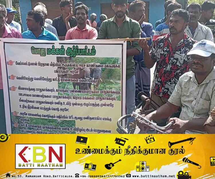 தொடரும் காட்டுயானை தொல்லை; மட்டு இலுப்படிச்சேனை பகுதி மக்கள் வீதியில் இறங்கி போராட்டம்!