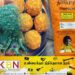 திரிபோஷாவினால் புற்றுநோய் அபாயம்? ; சோசலிசக் கட்சியின் கல்விச் செயலாளர் குற்றச்சாட்டு!