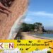 அறுவை சிகிச்சையின் வலி தாங்க முடியாதுள்ளது என கடிதம்; இரட்டை குழந்தைகளின் தாய் சடலமாக மீட்பு!