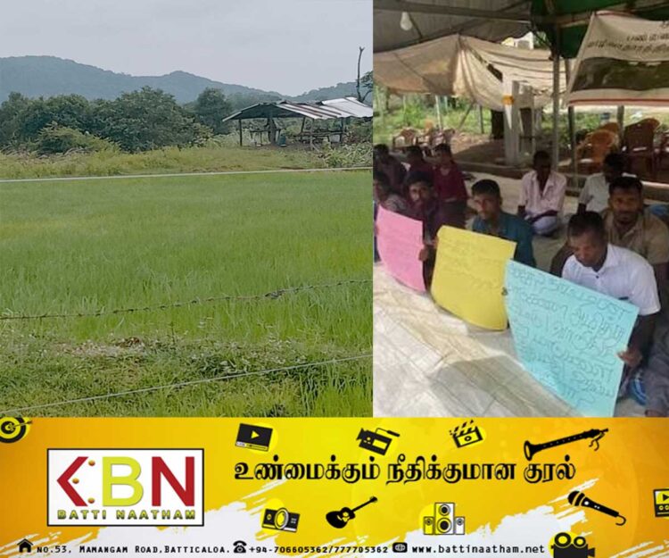 தற்கொலை செய்துகொள்ளும் நிலைக்கு தள்ளப்படுகிறோம்; மயிலத்தமடு, மாதவனை பண்ணையாளர்கள் கவலை!