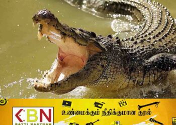 திருமலையில் முதலை தாக்கி பண்ணையாளர் ஒருவர் பலி!