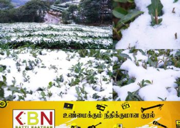 நுவரெலியாவில் கடும் பனிப்பொழிவு!