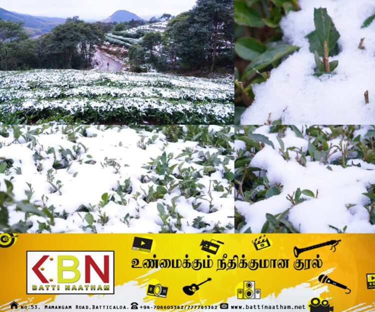 நுவரெலியாவில் கடும் பனிப்பொழிவு!