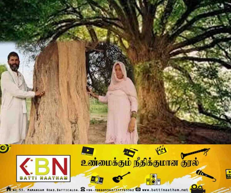 மரங்களுக்கு 75 வயதானால் மாதாந்தம் ஓய்வூதியம்; வியக்க வைக்கும் திட்டம்!