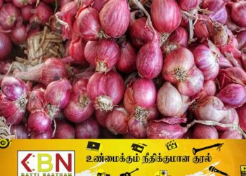 வெங்காயத்தின் விலையில் ஏற்பட்டுள்ள மாற்றம்!