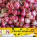 வெங்காயத்தின் விலையில் ஏற்பட்டுள்ள மாற்றம்!