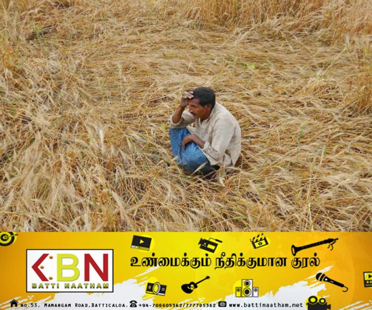 விவசாயிகளுக்கு சோகமான தகவல்!