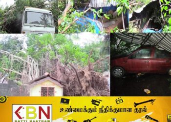 மட்டு அரசடியில் நூற்றாண்டு பழமை வாய்ந்த இத்தி மரம் சரிந்தது!