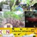 மட்டு அரசடியில் நூற்றாண்டு பழமை வாய்ந்த இத்தி மரம் சரிந்தது!