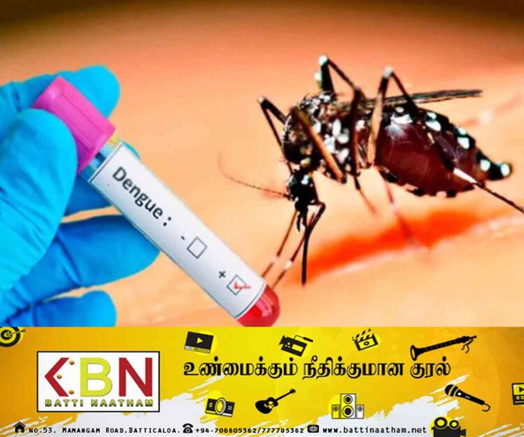 விசேட டெங்குக் கட்டுப்பாட்டு வேலைத்திட்டத்தை முன்னெடுக்க தீர்மானம்; தேசிய டெங்குக் கட்டுப்பாட்டு பிரிவு தகவல்!