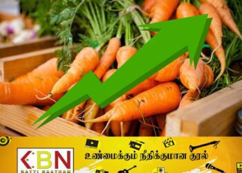 கரட்டுக்கு வந்த வாழ்வு; ஒரு கிலோ 1180!