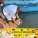 குளத்தில் விடப்பட்ட ஒரு இலட்சம் மீன்குஞ்சுகள்; கடற்றொழில் அமைச்சர் தலைமையில் நிகழ்வு!