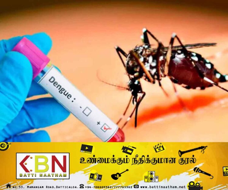 யாழில் டெங்கு நோயினால் இருவர் உயிரிழப்பு!