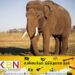காட்டுப்பகுதியில் யானை தாக்கி வயோதிபரொருவர் உயிரிழப்பு!