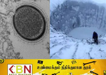 வெளியே வர காத்திருக்கும் ஜாம்பி வைரஸ்கள்; எச்சரிக்கும் விஞ்ஞானிகள்!