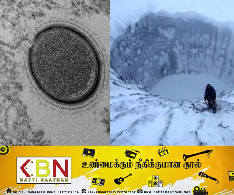 வெளியே வர காத்திருக்கும் ஜாம்பி வைரஸ்கள்; எச்சரிக்கும் விஞ்ஞானிகள்!