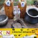 கசிப்பு விலையில் தாக்கம் செலுத்திய வற் வரி!