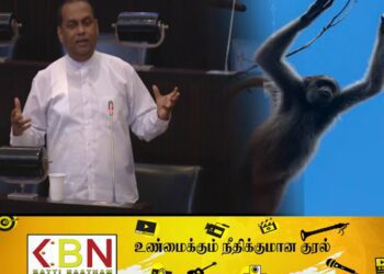 இலங்கை குரங்குகளுக்கு தவிக்கும் சீனா!
