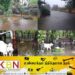 மட்டக்களப்பில் விடாது தொடரும் கன மழையினால் மக்கள் பாதிப்பு!