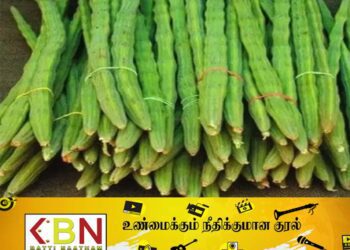 முருங்கைக்காய் கிலோ மூவாயிரம்!