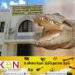 தமிழ் கைதியை இழுத்து சென்ற முதலை ; அனுராதபுரம் சிறைச்சாலையில் சம்பவம்!