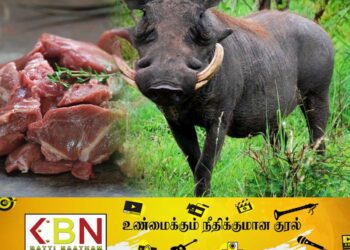 கைப்பற்றப்பட்ட காட்டுப்பன்றி இறைச்சியை ஒப்படைக்காத பொலிஸ் உத்தியோகத்தர் பணி இடைநீக்கம்!
