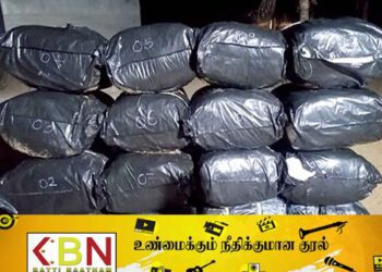 புத்தளத்தில் 520 கிலோ பீடி இலைகள் கடற்படையினரால் மீட்பு!
