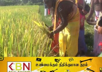 மட்டக்களப்பு தேத்தாத்தீவு கொம்புச் சந்தி பிள்ளையார் ஆலயத்தில் புதிரெடுக்கும் நிகழ்வு!