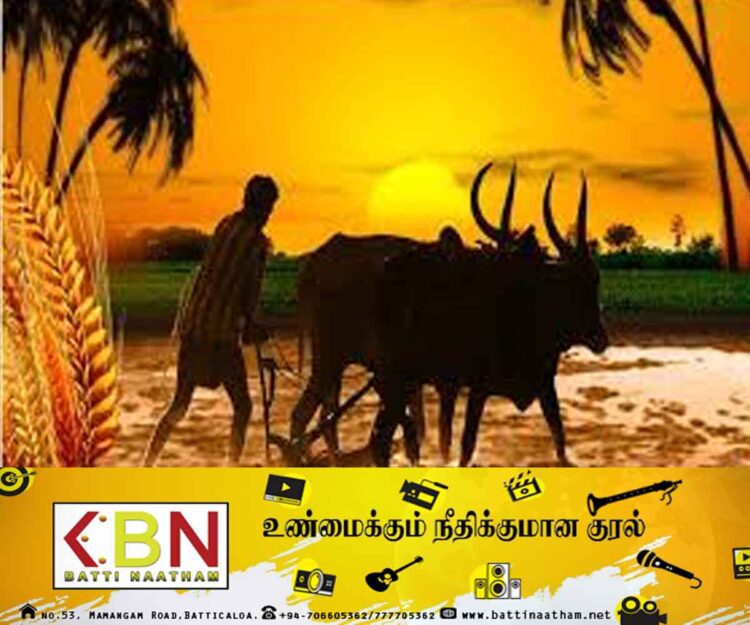 உழவர் திருநாளாம் தைத்திருநாள் இன்று! – (கட்டுரை)