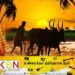 உழவர் திருநாளாம் தைத்திருநாள் இன்று! – (கட்டுரை)