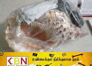 வாகரை பொலிஸ் பிரிவில் 23 வலம்புரி சங்குகளுடன் 3 பேர் கைது!