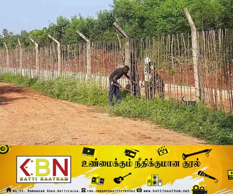 யாழ் உயர் பாதுகாப்பு வலயத்திலுள்ள 23 ஏக்கர் காணி விடுவிப்பு; இராணுவத்தினர் அறிவிப்பு!