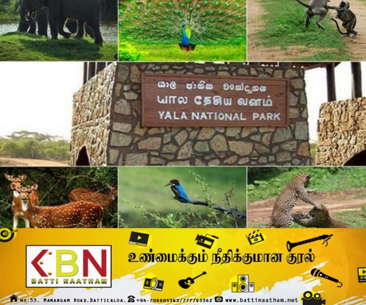 மறு அறிவித்தல் வரை யால பூங்காவின் பிரதான நுழைவாயில் மூடப்படுகிறது!
